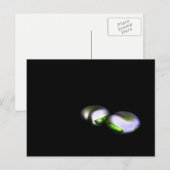 Twee brede bonen pccnm briefkaart (Voorkant / Achterkant)