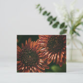 Twee Briefkaart (Staand voorkant)
