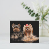 Twee Briefkaart (Staand voorkant)