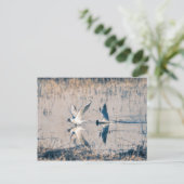 Twee briefkaarten (Staand voorkant)