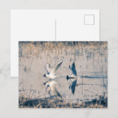 Twee briefkaarten (Voorkant / Achterkant)