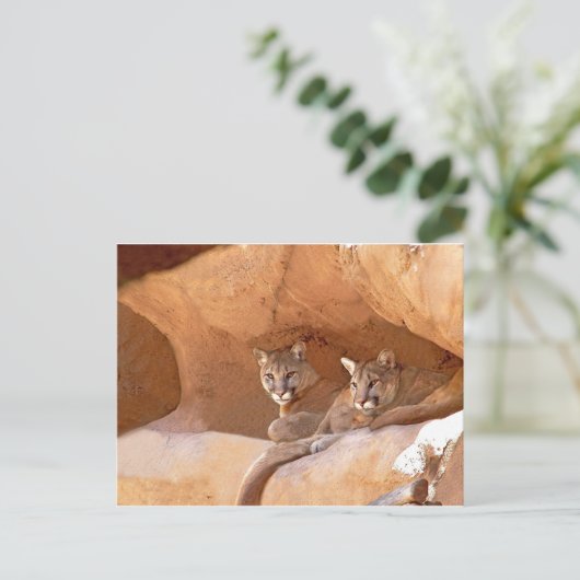 Twee briefkaarten voor bergen (Staand voorkant)