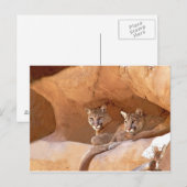 Twee briefkaarten voor bergen (Voorkant / Achterkant)