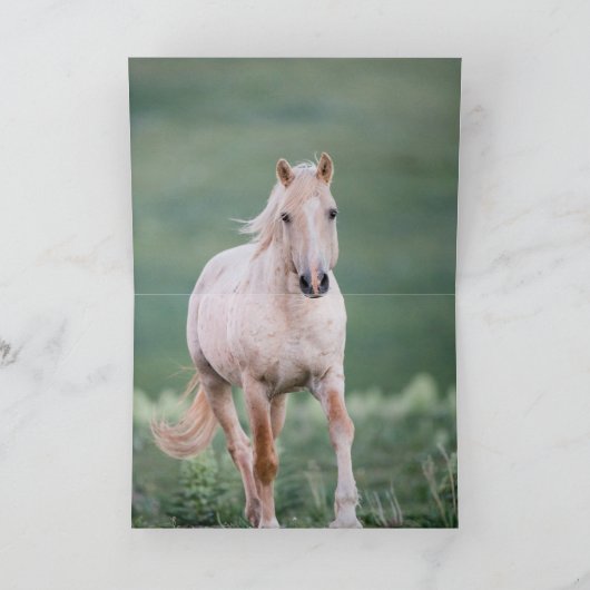 Twee broers ontmoeten elkaar - Wild Horse Wenskaar Kaart (Binnen)