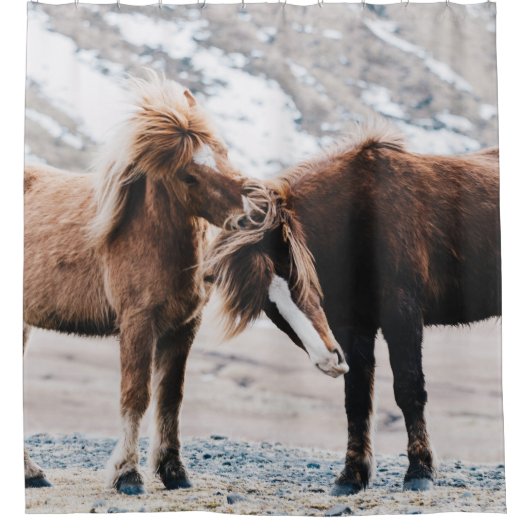 TWEE BROWN HORSES OP HET GEBIED DOUCHEGORDIJN (Voorkant)