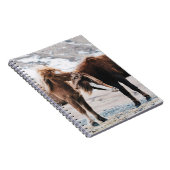 TWEE BROWN HORSES OP HET GEBIED NOTITIEBOEK (Rechterzijde)