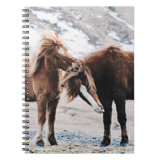 TWEE BROWN HORSES OP HET GEBIED NOTITIEBOEK (Voorkant)