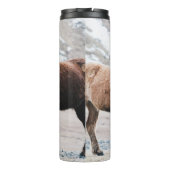 TWEE BROWN HORSES OP HET GEBIED THERMOSBEKER (Achterkant)
