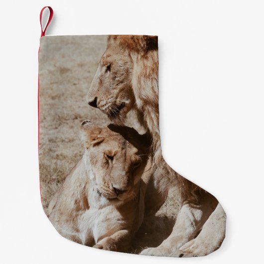 TWEE BROWN LION OP GROEN GEBIED KLEINE KERSTSOK (Voorkant)