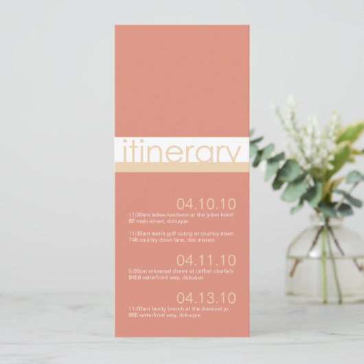 Twee bruiden reisplan aankondigingen (Staand voorkant)