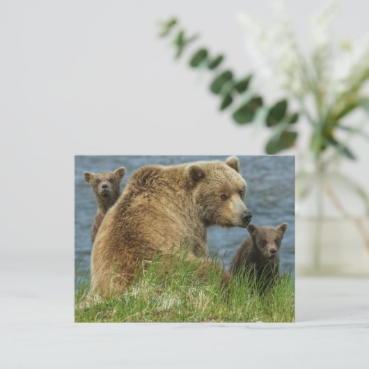 Twee bruine Beren kubussen met moeder door het wat Briefkaart (Staand voorkant)