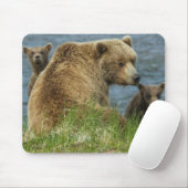 Twee bruine Beren kubussen met moeder door het wat Muismat (Met muis)