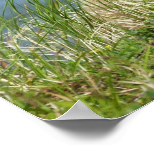 Twee bruine Beren kubussen met moeder door het wat Poster (Hoek)