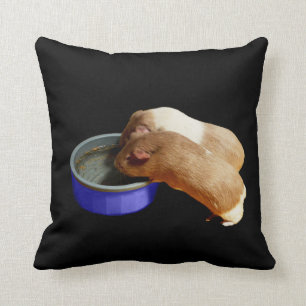 twee bruine en witte parelhoenders, kussen