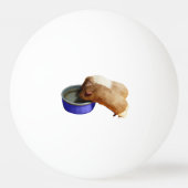 twee bruine en witte parelhoenders, pingpongbal (Achterkant)