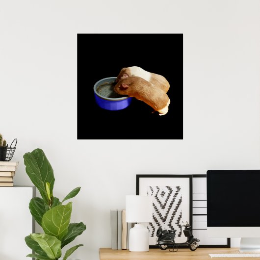 twee bruine en witte parelhoenders, poster (Thuiskantoor)