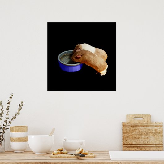 twee bruine en witte parelhoenders, poster (Keuken)