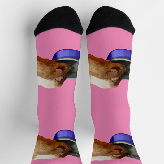 Twee bruine en witte parelvarkens Drink, Sokken (Top)