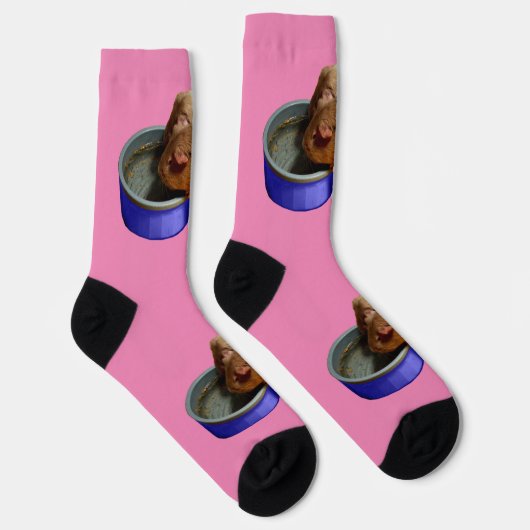 Twee bruine en witte parelvarkens Drink, Sokken (Rechts)