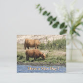 Twee bruine koeien Klant. Fijne dag ansichtkaart Feestdagenkaart (Staand voorkant)