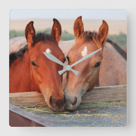 Twee bruine paarden op boerderij foto wandklok