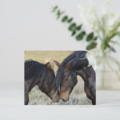 Twee bruine wilde paarden briefkaart (Staand voorkant)