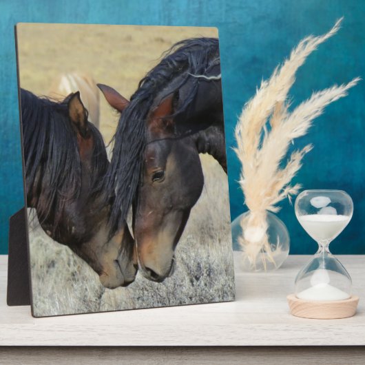 Twee bruine wilde paarden fotoplaat (Zijkant)