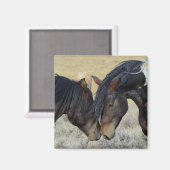 Twee bruine wilde paarden magneet (Voorkant / Achterkant)