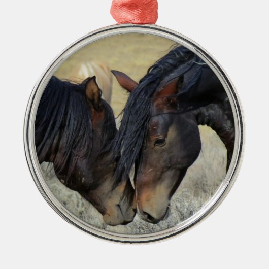 Twee bruine wilde paarden metalen ornament (Voorkant)