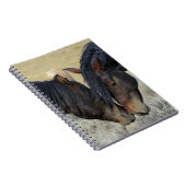 Twee bruine wilde paarden notitieboek (Rechterzijde)