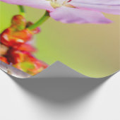 Twee brute Sakura-bloemen en een kleurrijke achter Cadeaupapier (Hoek)