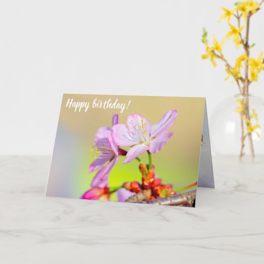 Twee brute Sakura-bloemen en een kleurrijke achter Kaart (Gele Bloem)