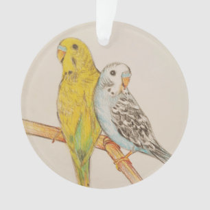 TWEE BUDGIES VOGEL HAND TEKENING GEKLEURDE POTLODE ORNAMENT