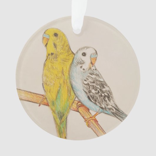 TWEE BUDGIES VOGEL HAND TEKENING GEKLEURDE POTLODE ORNAMENT (voorkant)