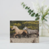 Twee buikpaarden die samen lopen briefkaart (Staand voorkant)