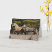 Twee buikpaarden die samen lopen kaart (Gele Bloem)