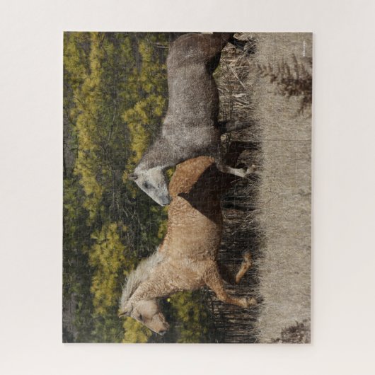 Twee buikpaarden die samen lopen legpuzzel (Verticaal)