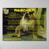 Twee bulledog-merk met RESCUED-Poster Poster (Voorkant)