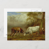 Twee bullen met vergrendelde paarden, 1653 briefkaart (Voorkant / Achterkant)