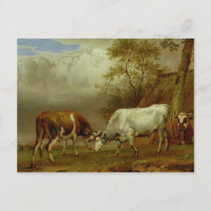 Twee bullen met vergrendelde paarden, 1653 briefkaart
