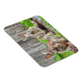 Twee Bunny Rabbits Magneet (Rechterzijde)
