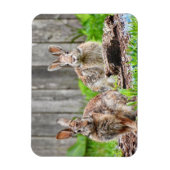 Twee Bunny Rabbits Magneet (Verticaal)