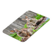 Twee Bunny Rabbits Magneet (Linkerzijde)