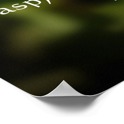 Twee Butterflies Citaat Poster (Hoek)