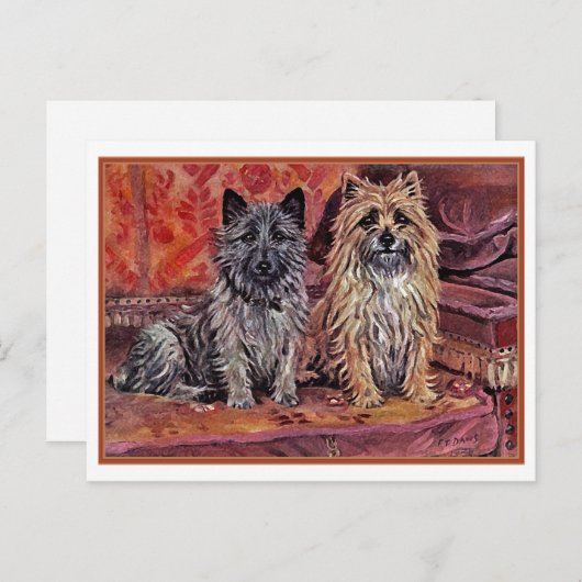Twee Cairn Terriers Briefkaart (Voorkant / Achterkant)