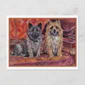 Twee Cairn Terriers Briefkaart (Voorkant)