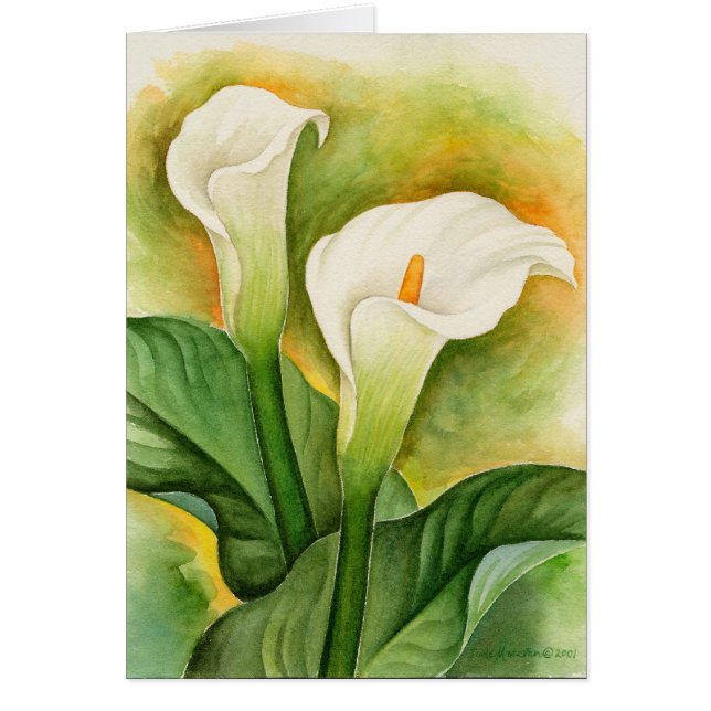 Twee Cala Lilies Waterverf Art - Multi (Voorkant)