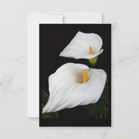 Twee Calla Lilies #9 (Voorkant)