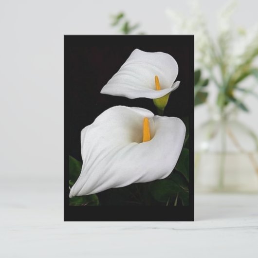 Twee Calla Lilies #9 (Staand voorkant)