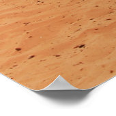 TWEE CAMELSITTING OP DE BROWN ZAND NEAR MOUTAINS POSTER (Hoek)